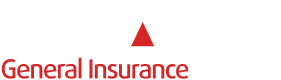 Reliance General Insurance 1